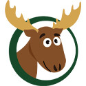 Moose on the Loose
